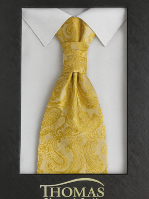 corbatín/plastron/mostaza