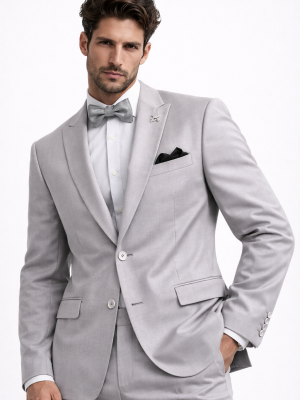 Traje | 2 Piezas | Gris | 251-530-30(R)